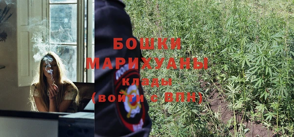 каннабис Коряжма