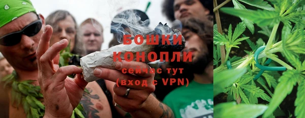 каннабис Коряжма