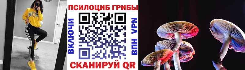 купить  сайты  Лиски  Псилоцибиновые грибы мицелий 