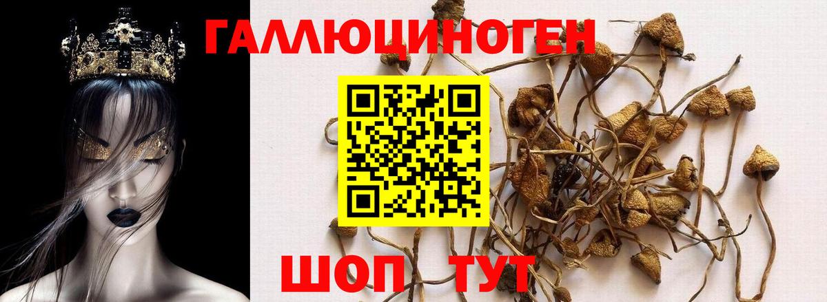 Лиски  Псилоцибиновые грибы Magic Shrooms  Псилоцибиновые грибы Psilocybe  Вход с VPN 
