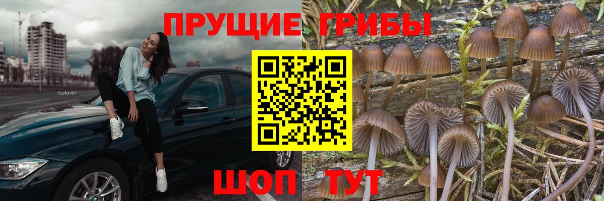 Галлюциногенные грибы мухоморы Лиски
